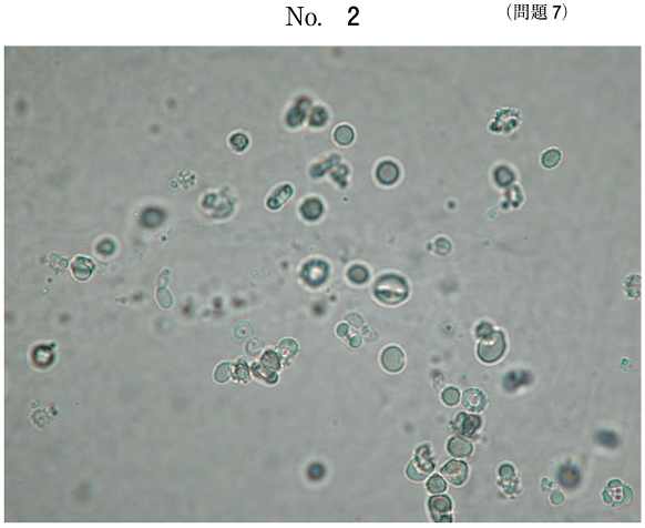 第59回午後問7画像