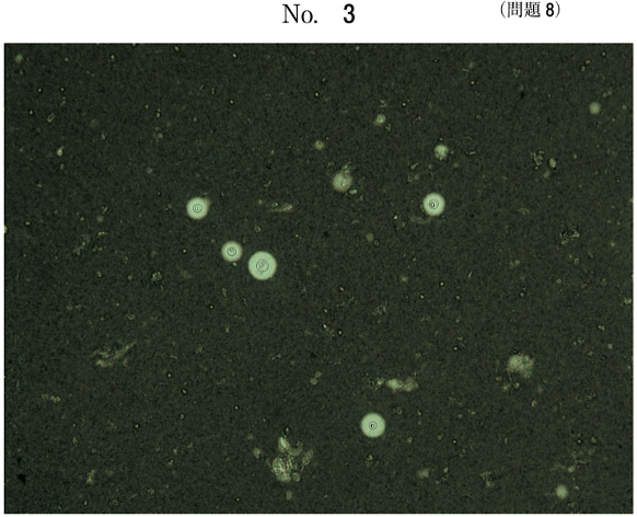第59回午後問8画像