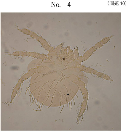 第59回午後問10画像